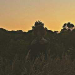 WILD ONE