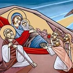 Coptic Nativity Pauline - Daniel Doss