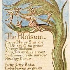 The Blossom