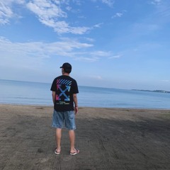 UDANG DIBALIK BATU 2024 ( Irwan Mix X Nawa Amboy )
