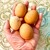 Artwork for EGGS