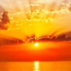 Free DL **** New Day