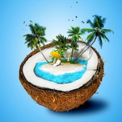 Coconut Island - Alexia & Microcosma
