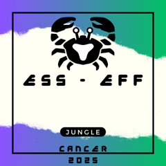 Ess - Eff / Jungle Techno