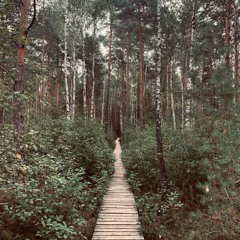 Head On (Full Version DEMO)