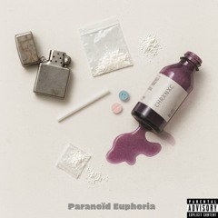 Paranoid Euphoria