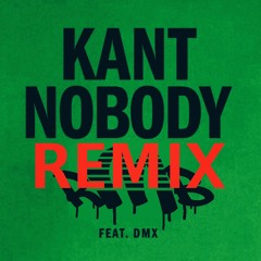 Kant Nobody feat. DMX (Remix)