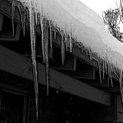 an icicle stabs-naviarhaiku588
