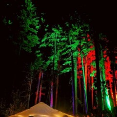 Rowly - Deep Forest 2021