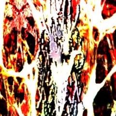 where her friends at?