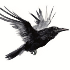 Calling For Raven