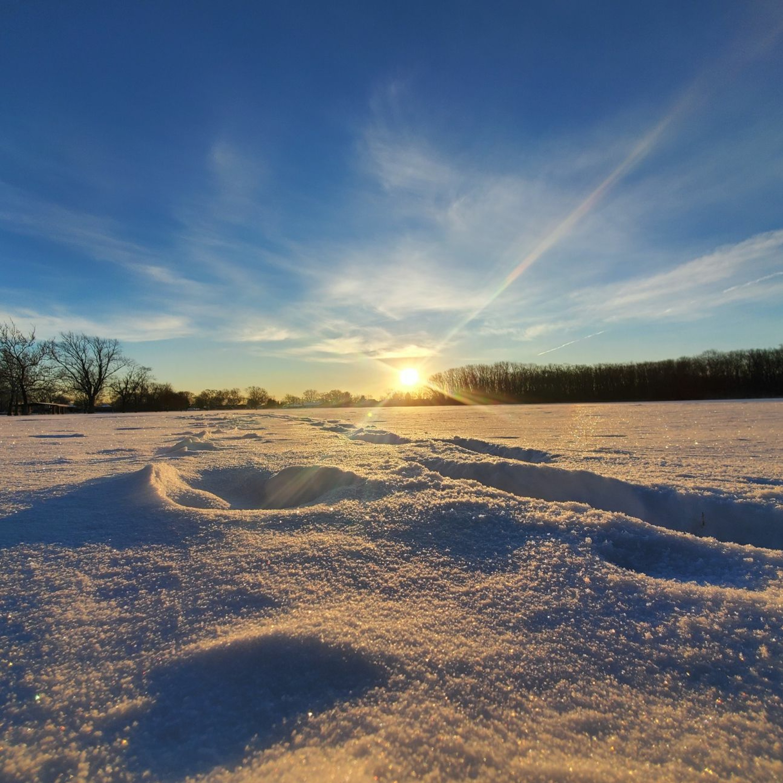 McMusic Performances