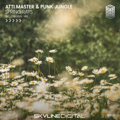[SKY010] Atti Master & Punk Jungle - Spring Rays (Original Mix)