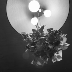 原風景 - Inner Landscape (sound dairy 0812 - pf / e.gu / vo)
