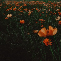 Mac Miller x J. Cole x Isaiah Rashad Type Beat