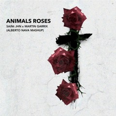 SAINt JHN x Martin Garrix - Animals Roses (Alberto Nava Mashup)