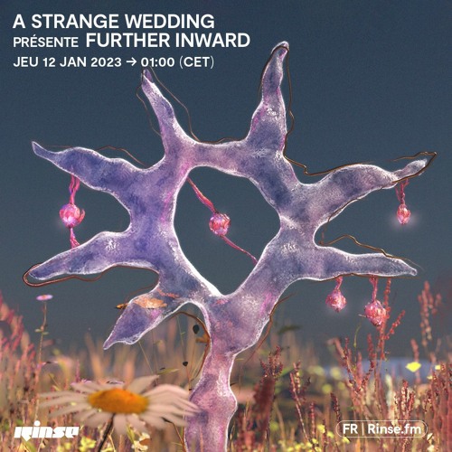 A Strange Wedding présente Further Inward - 12 Janvier 2023