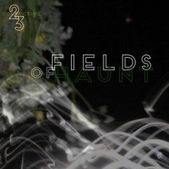 Fields Of Haunt - Volume 3