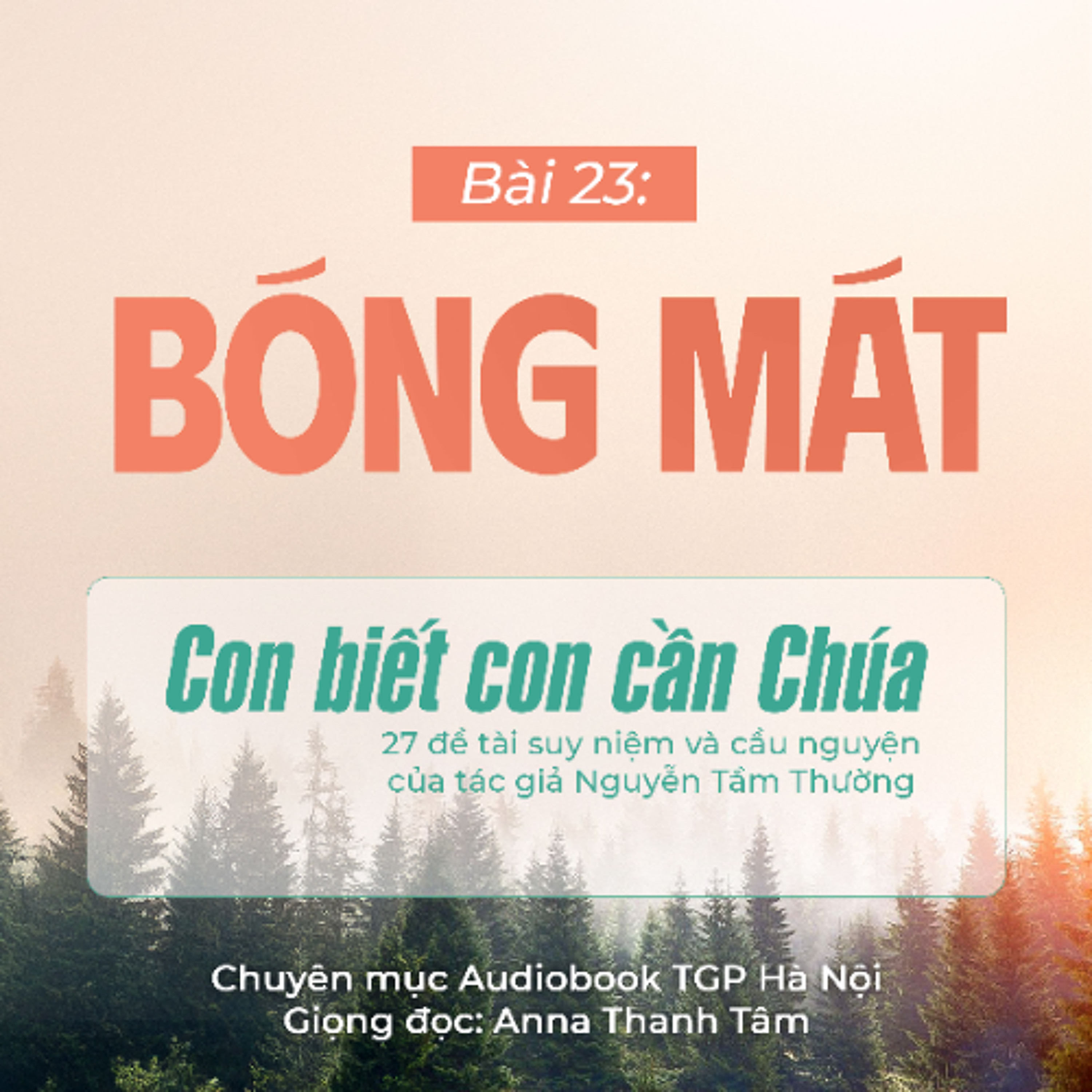 #23 Bóng mát || Con biết con cần Chúa || Tác giả Nguyễn Tầm Thường