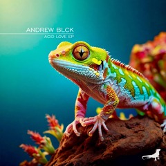 ANDREW BLCK - Acid Love (Original Mix)