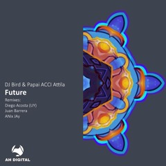 DJ Bird, Papai ACCI Attila - Future (Diego Acosta UY Remix)