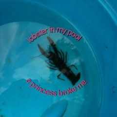 lobster in my pool