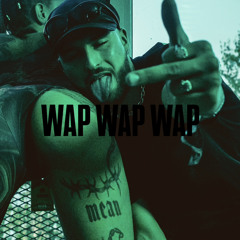 WAP 2.808