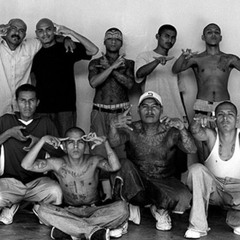 MS-13