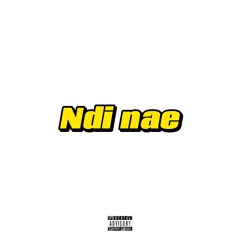 NDI NAE w. Slim-TeezY