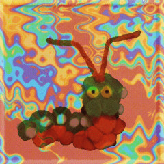 magic bug