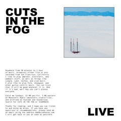 CUTS IN THE FOG
