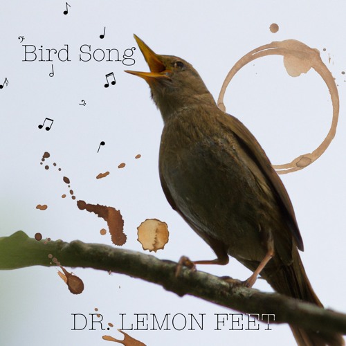 Bird Song