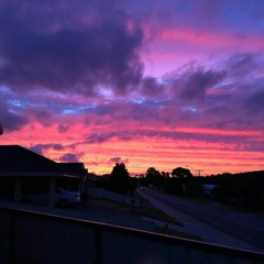 pink skies