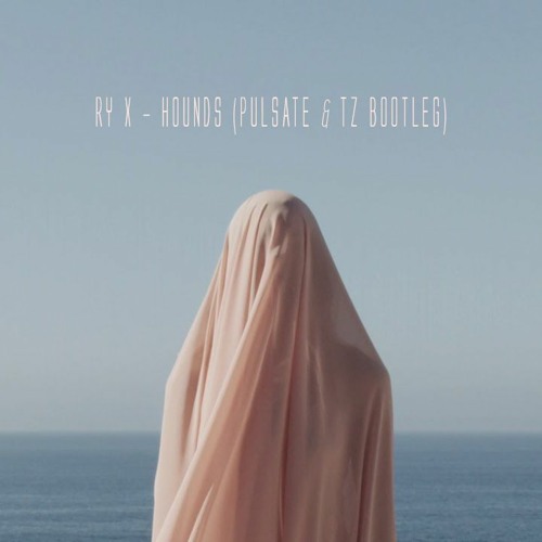 RY X - HOUNDS (PULSATE X TZ BOOTLEG) [FREE DOWNLOAD]