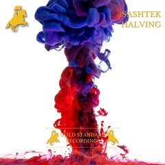 Sashtek - Halving (Radio Edit)