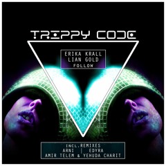 Erika Krall & Lian Gold - Follow (Arni Remix)