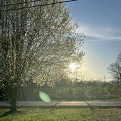 escape (feat. floXVX)