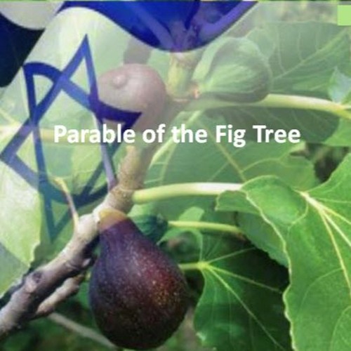 Stream Parable of Fig Tree Pt 2 ~ Are we the “Fig Tree” Generation? by ...