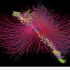 Residente X Reggaeton (MATYCVDJ.)