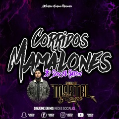 CORRIDOS MAMALONES MIX 2022 (SOY EL RATON EDITION)-DJMortal Moreno