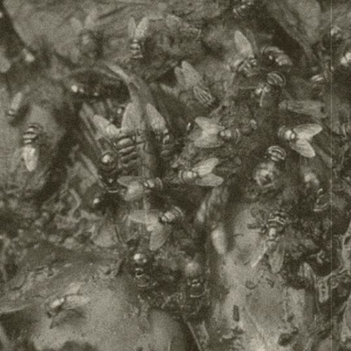 05 Kragrowargkomn - Hmyzy [feat. El Muflono]