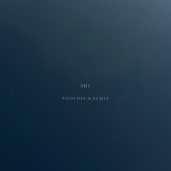 Shy - Phoenix M remix