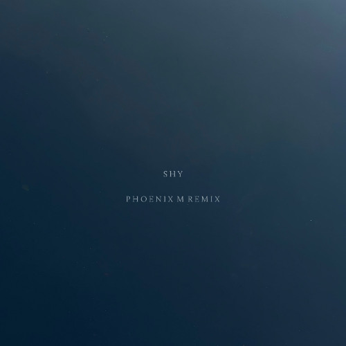 Shy - Phoenix M remix