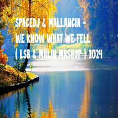 SPACEDJ & MALLANCIA - WE KNOW WHAT WE FELL ( LSB & MALIN MASHUP ) 2024