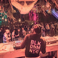 SkyVibes | Forest Star Festival 2025