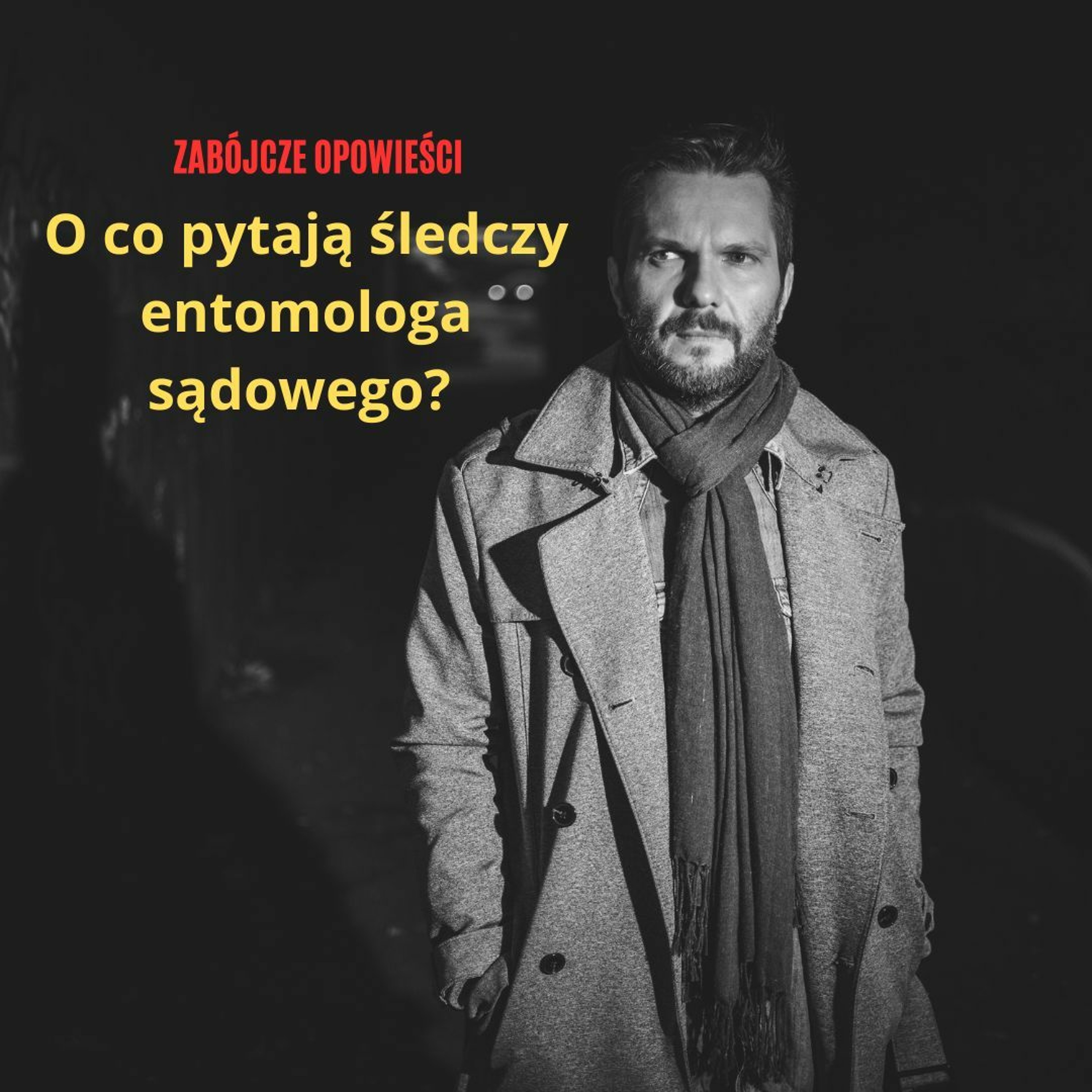 O co pytają śledczy entomologa sądowego? episode artwork