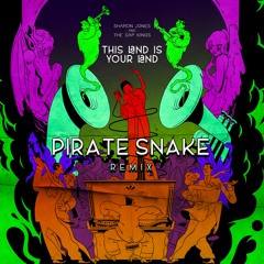 Sharon Jones & The Dap - Kings - This Land Is Your Land (Pirate Snake Remix)