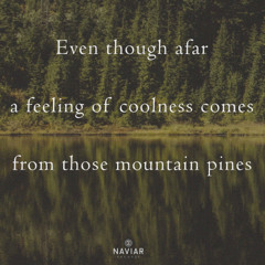 Mountain Pines [naviarhaiku575]