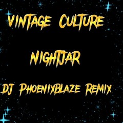 Nightjar- Vintage Culture (DJ PhoenixBlaze Remix)