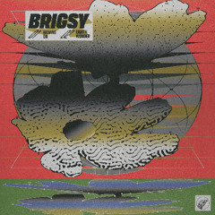 BRIGSY 'Moving On' [Ranger Records]